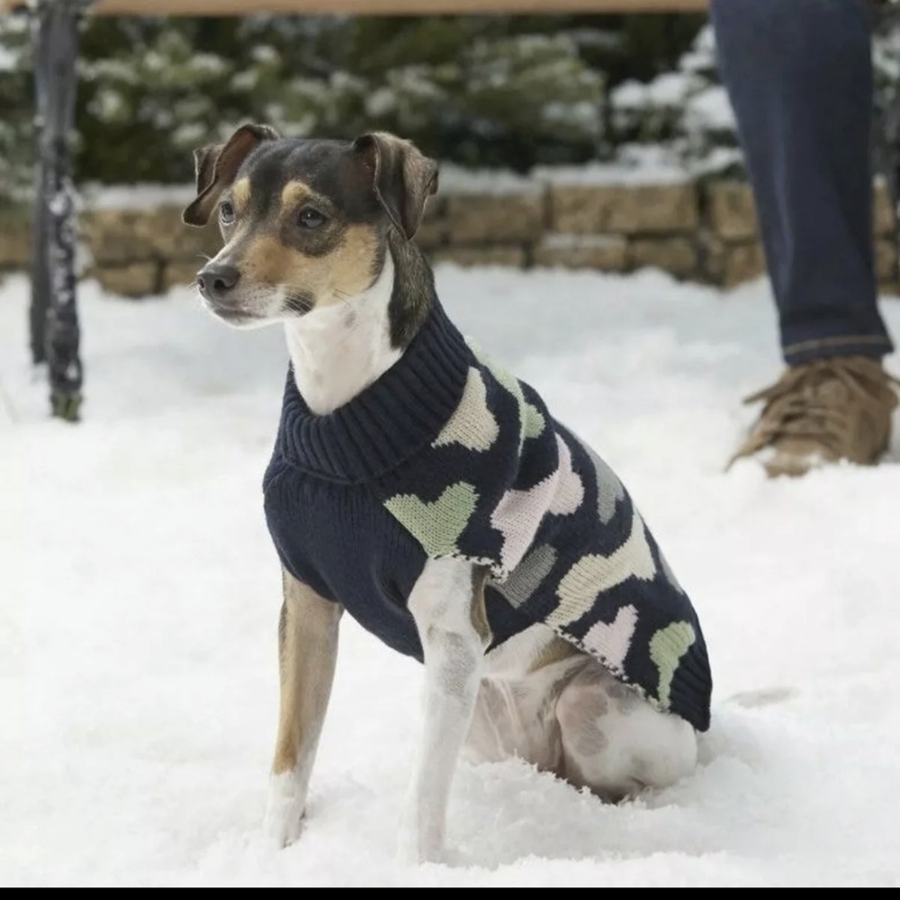 Doggy bone know sweater - size S